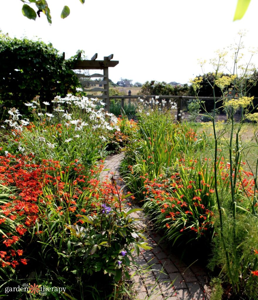 wildlife border and pathway