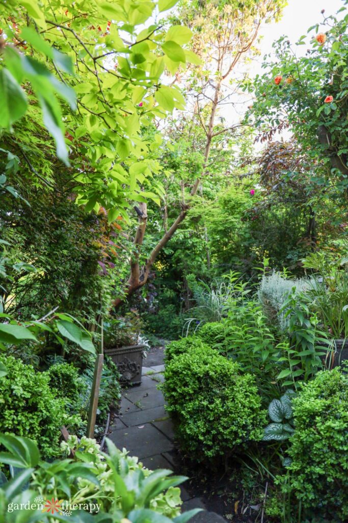Wildscaping Your Garden: Creating a Native Plant Paradise