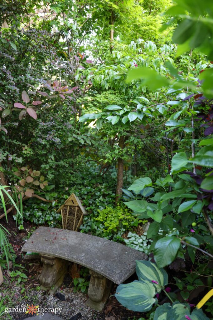 bench in front of natural greenery
