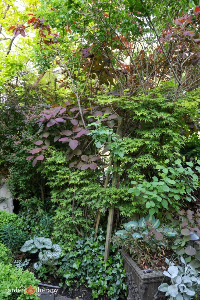 layers of plants in a wildscape