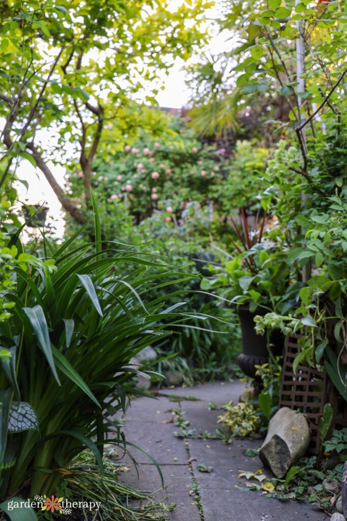 paver pathway through wildscape