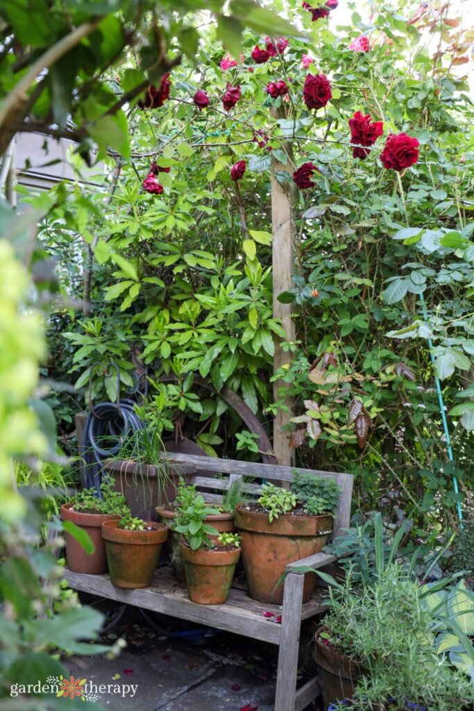 bench with potted plants on it