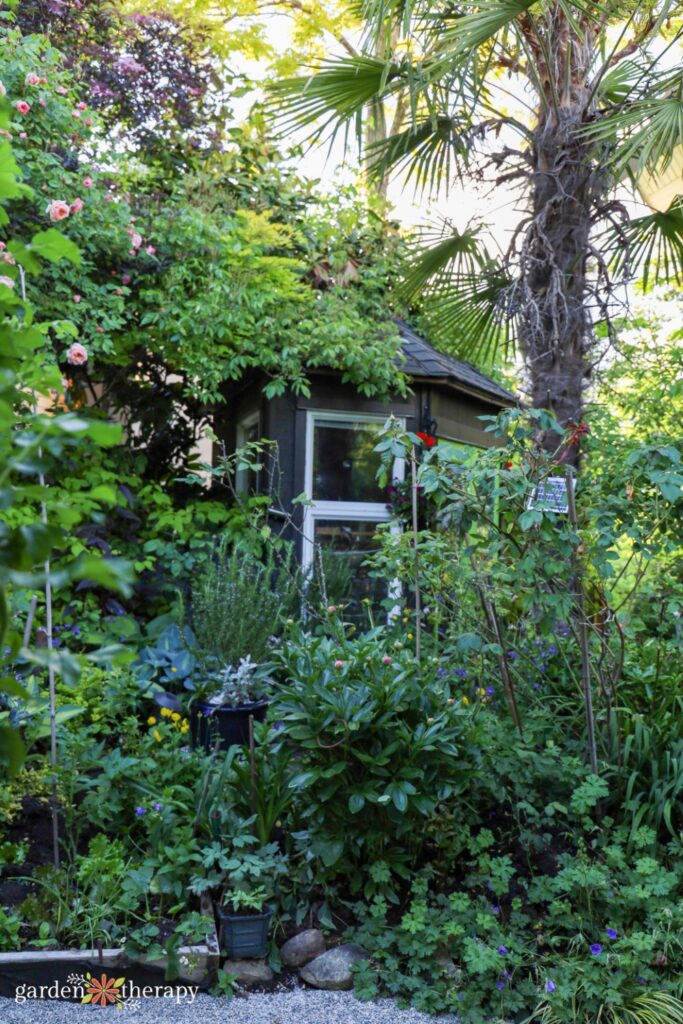 house perched amidst wildscaping