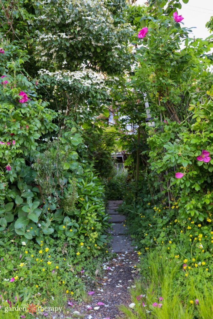pathway through lush native plantings