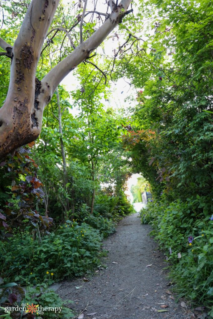 wildscaping tunnel and hedge