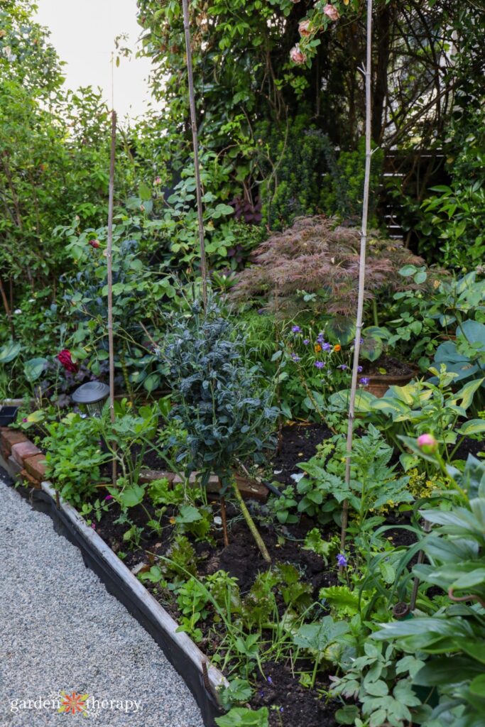 wildscaping vegetable bed
