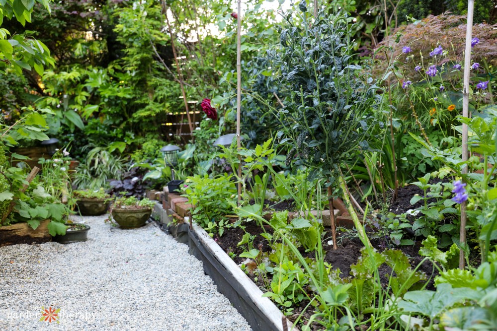 natural gravel walkway next to vegetable garden