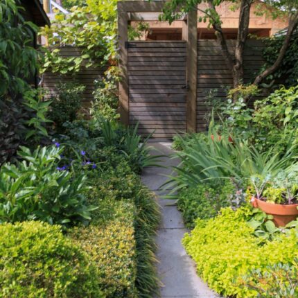 pathway through green garden