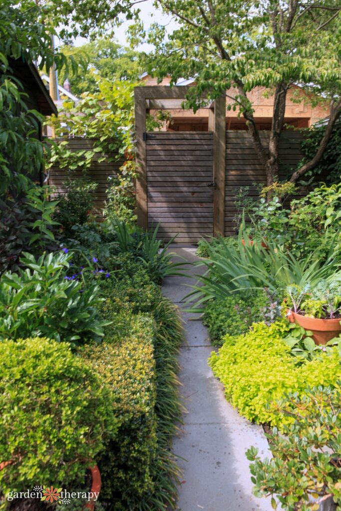 pathway through green garden