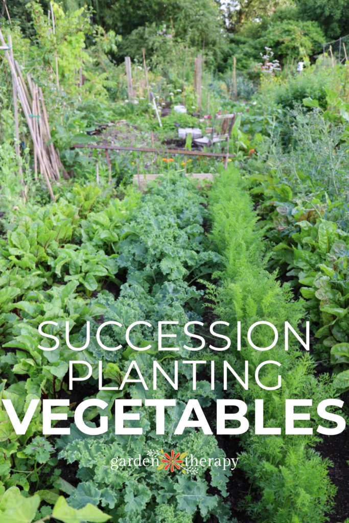 Succession Planting Vegetables to Boost and Extend Harvests