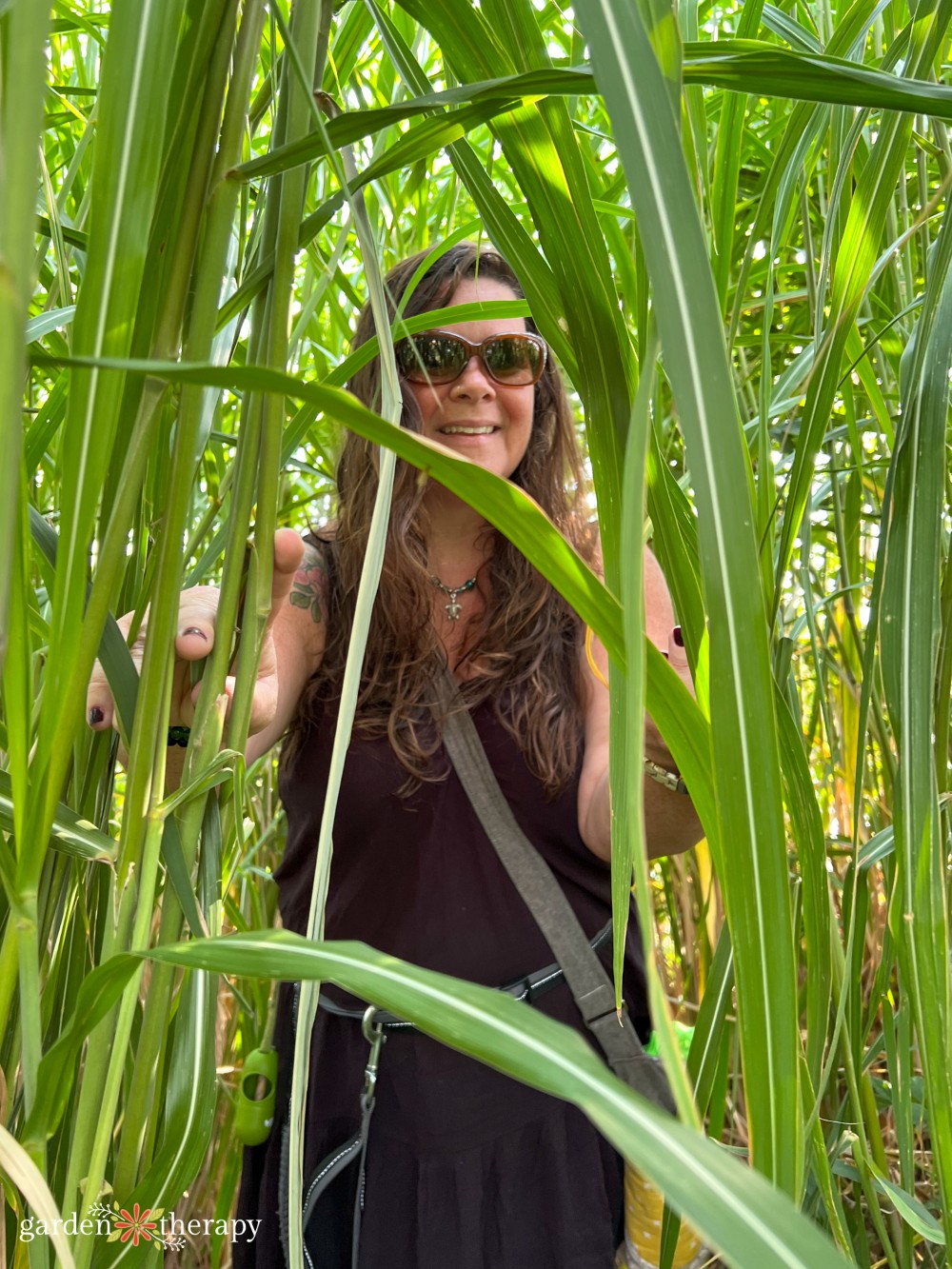 Stephani in tall ornamental grass towering over her
