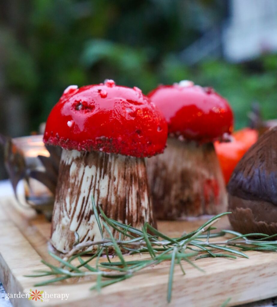 Friendsgiving mushroom dessert