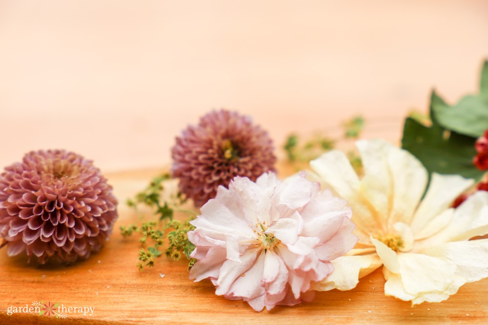 How to preserve flowers with silica gel