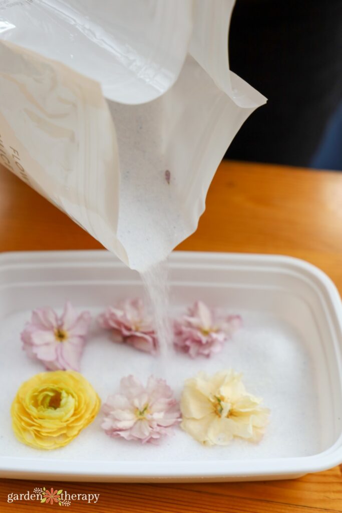 silica gel flowers step 2: pouring silica around flowers