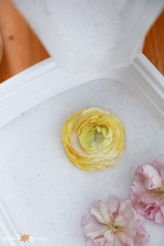 silica gel flowers step 3: pouring silica in center of flowers