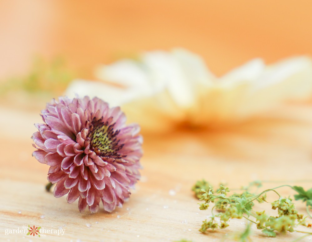 using silica gel for drying flowers