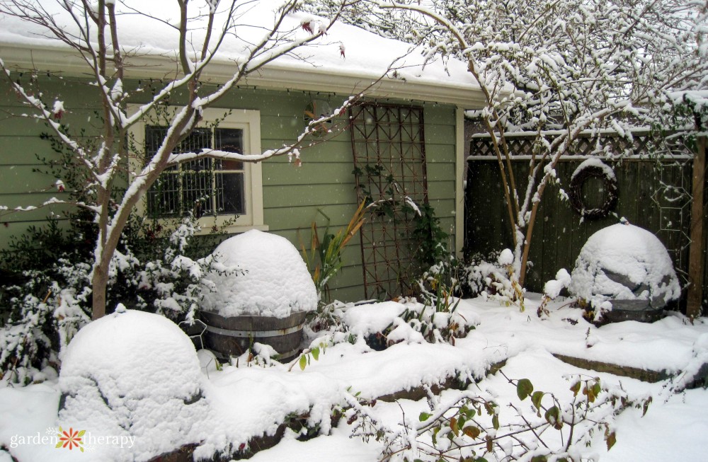 how to prepare a garden for winter