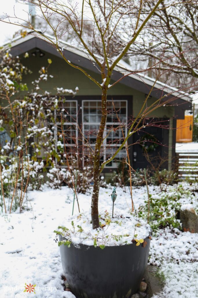 Preparing a Garden for Winter