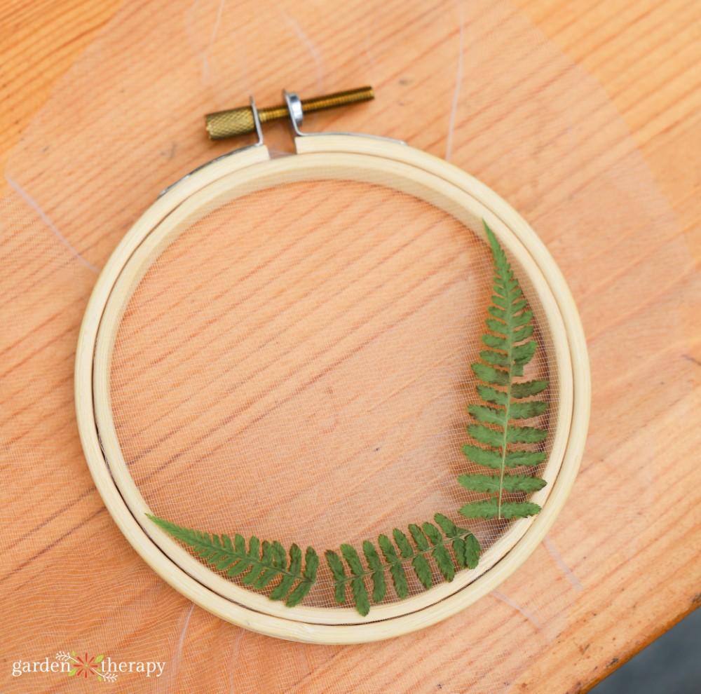 dried flower hoop with fern leaves on tulle