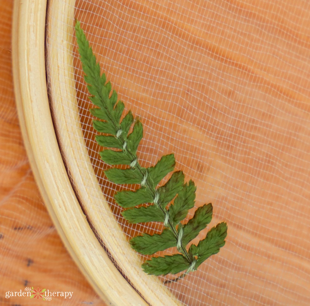 dried flower embroidery fern stitches close up