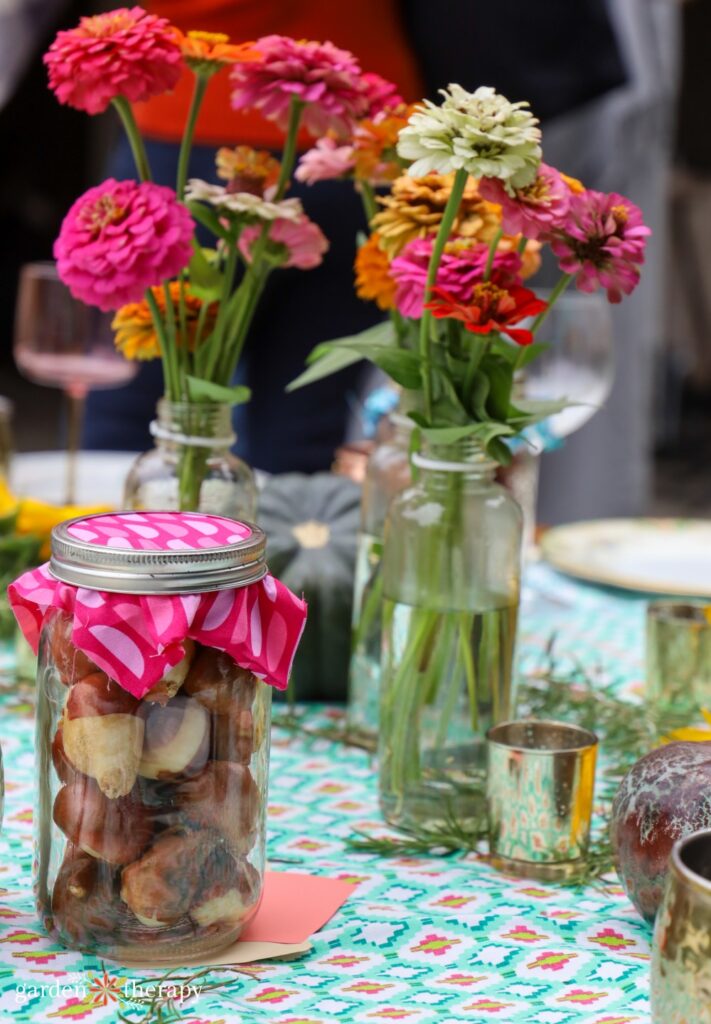 friendsgiving bulbs and zinnias