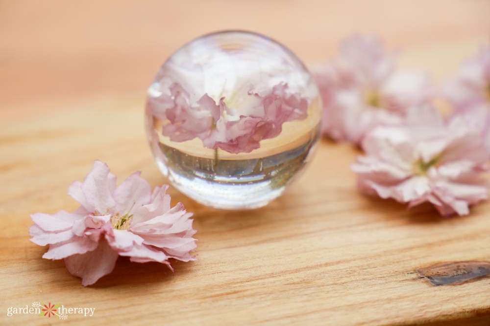 resin globe containing a cherry blossom dried in silica gel