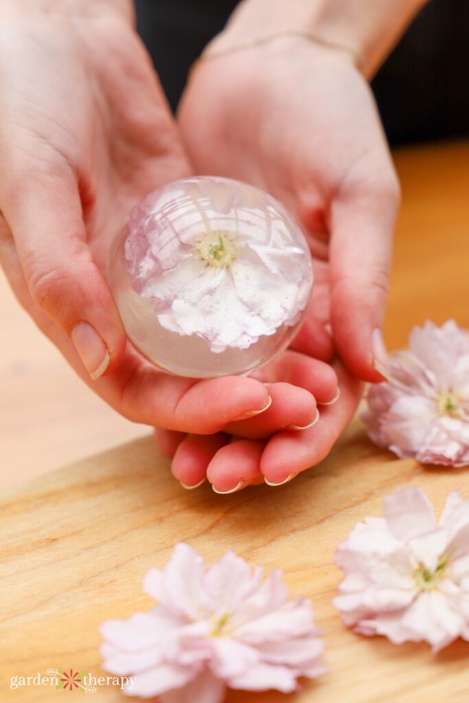 hand holding resin globe containing a cherry blossom dried in silica gel