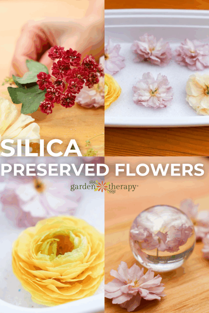 silica dried flowers pin