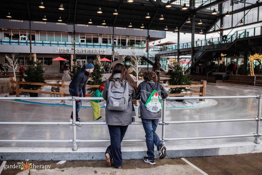 skating rink at The Shipyards Night Market