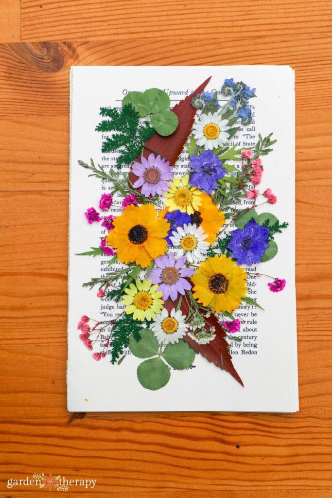 pressed flowers arranged on book page