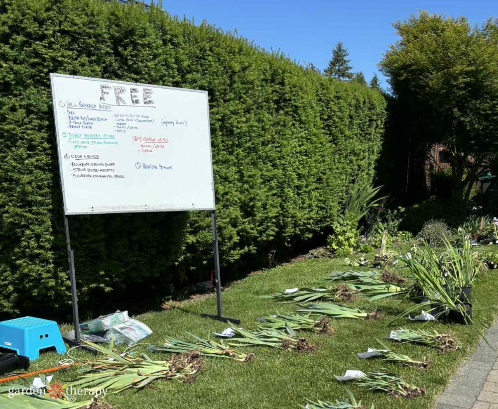 Free Plant Divisions