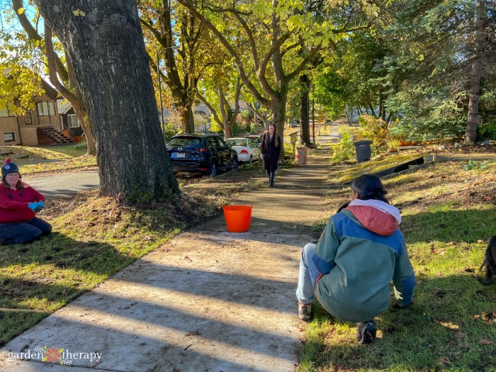 sidewalk planting with neighbours