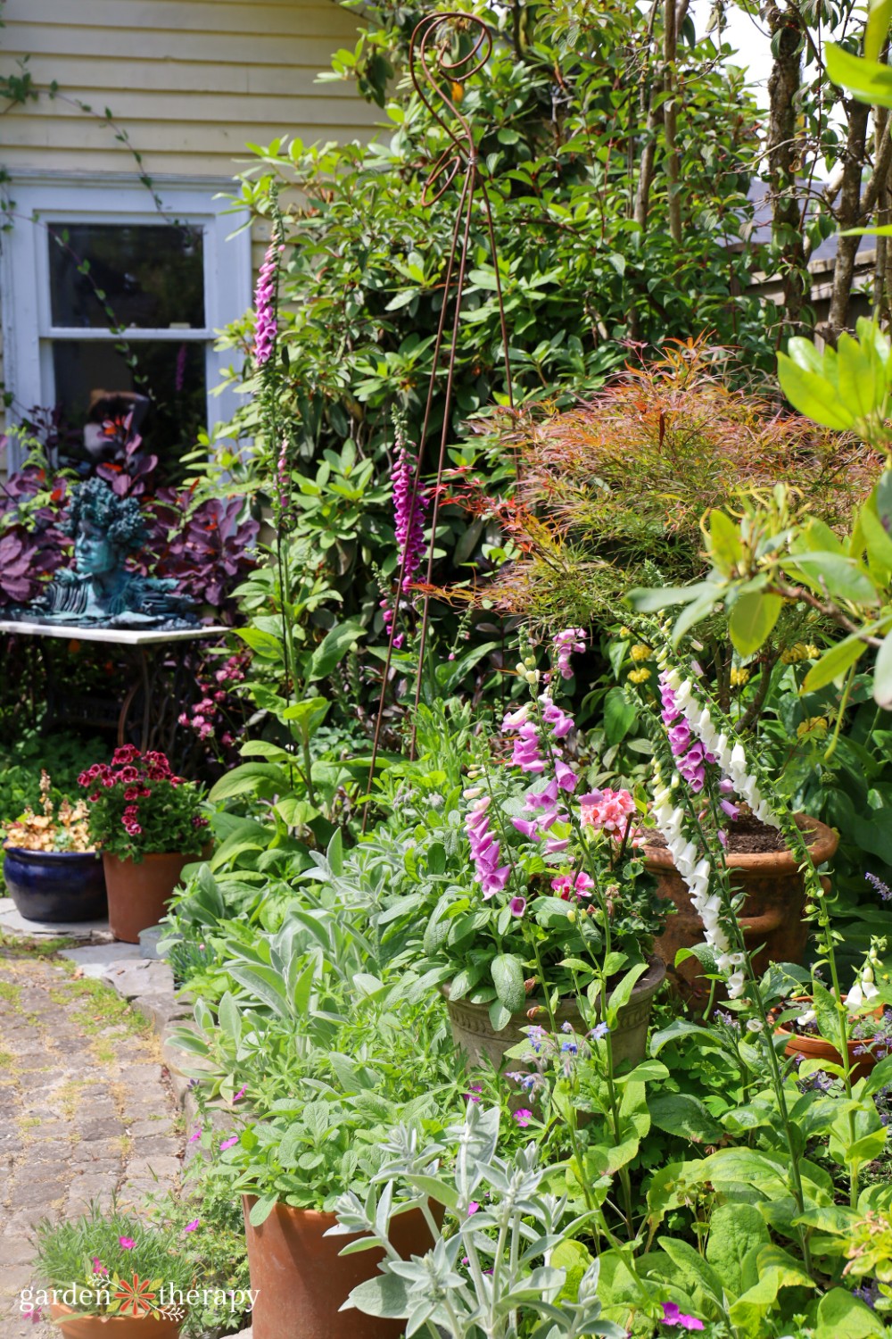 wild garden with foxglove