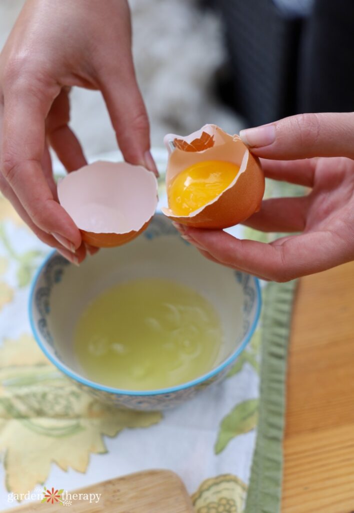 Separating egg yolk
