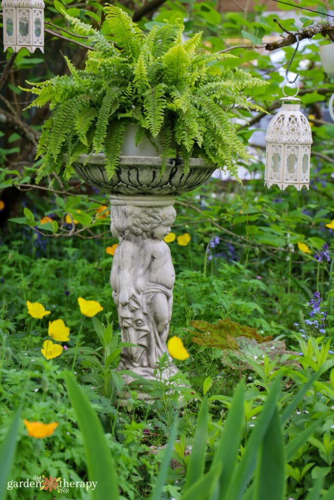 bird bath with ferns growing atop