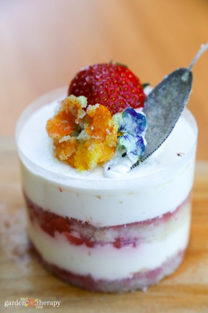 candied flower dessert