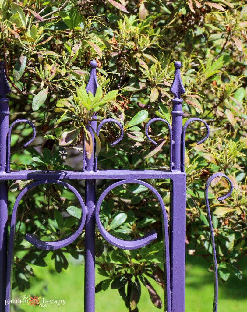 purple garden gate