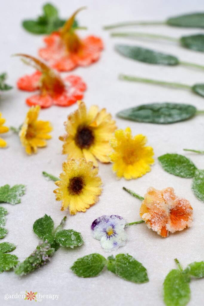 sugared flowers