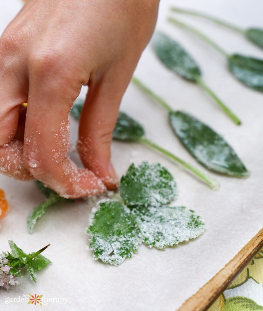 candied leaves