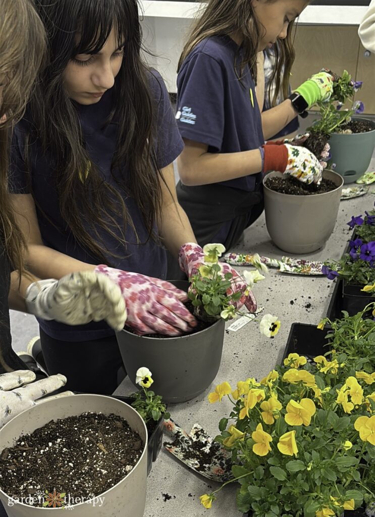 making lily bulb planters