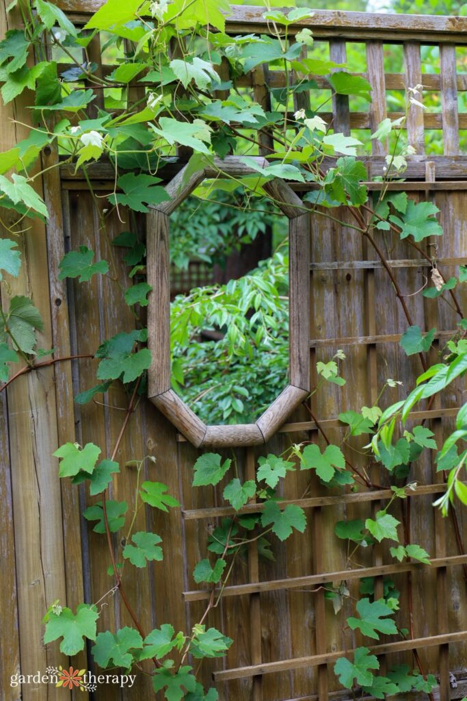 outdoor mirror hanging on garden fence reflecting greenery