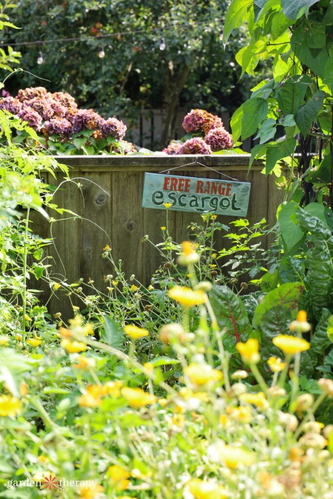 free escargot sign in a wild garden