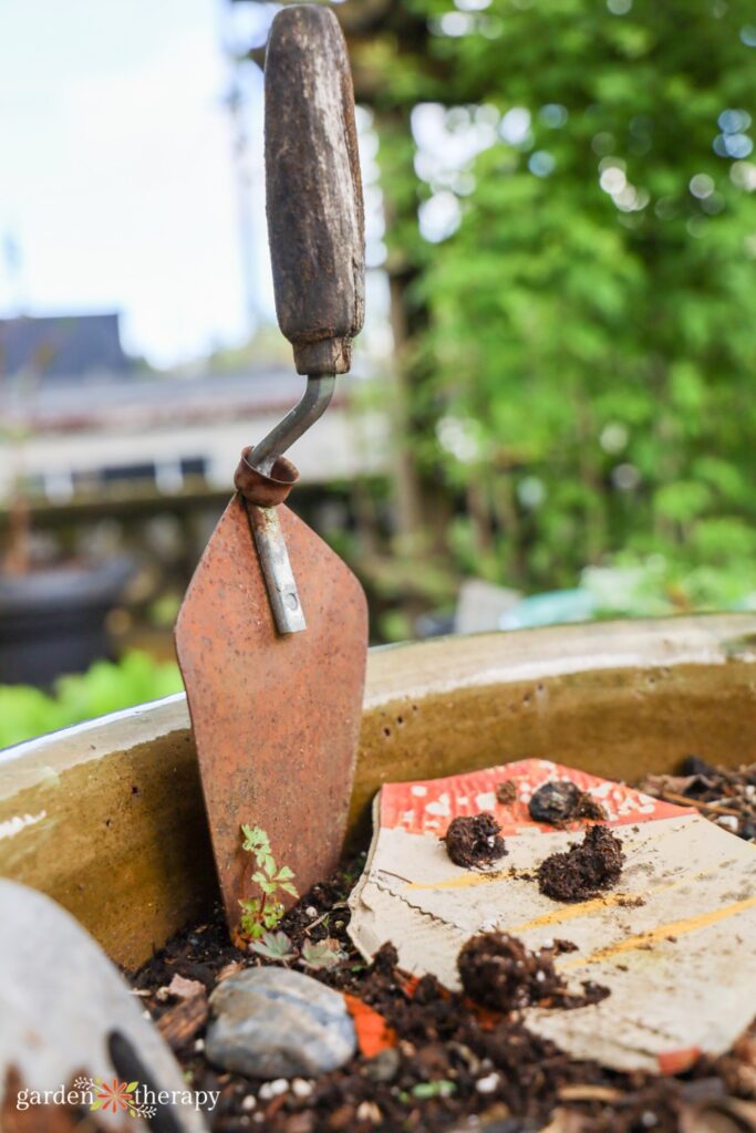 old trowel in potting soil