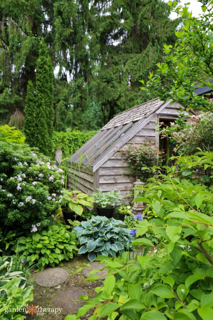 wooden potting shed surrounded by green shrubs
