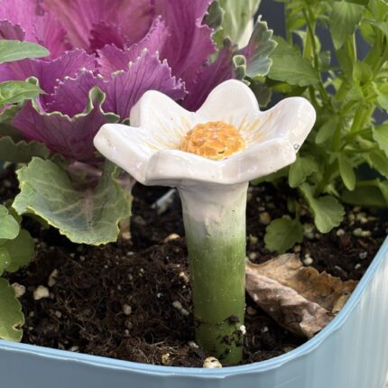 ceramic crocus bee cup