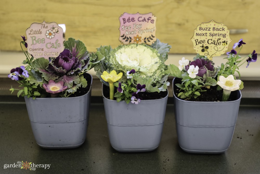 bee breakfast planters
