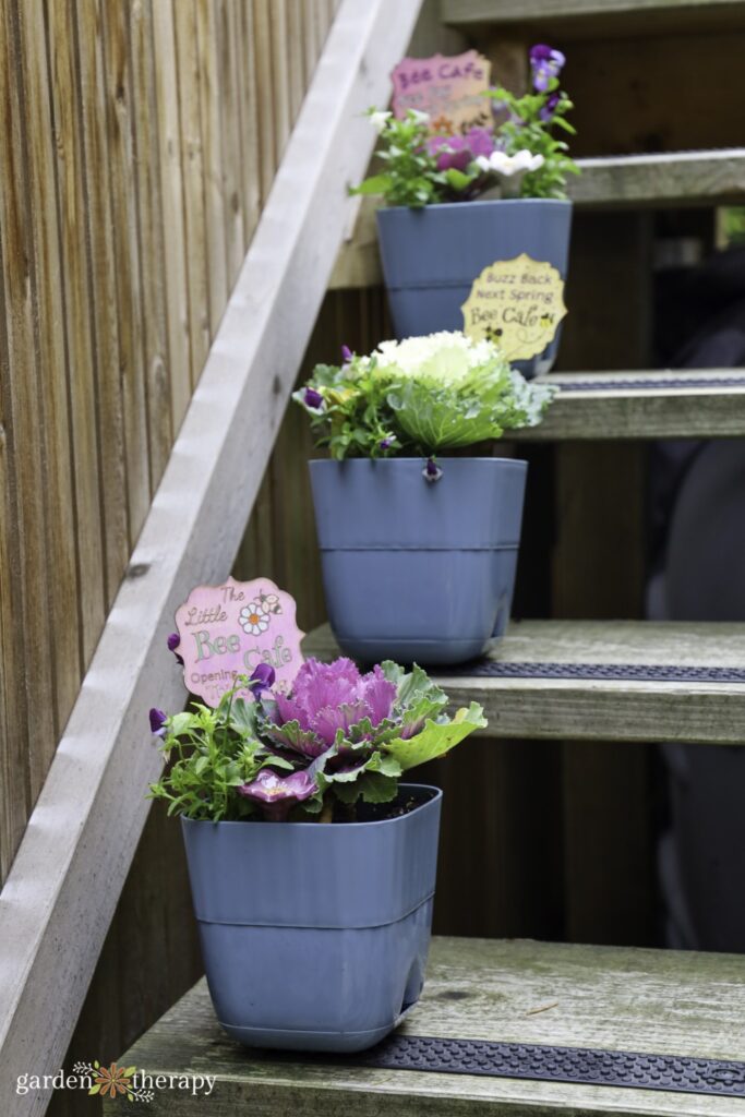 three breakfast planters lined up on wooden steps